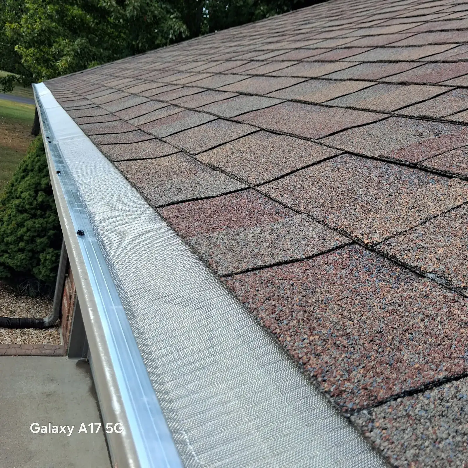 A clean gutter guard installed beside roof shingles